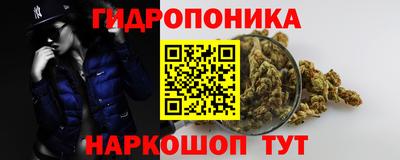 сатива Лесосибирск