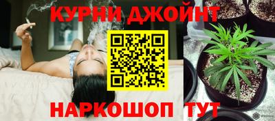 сатива Лесосибирск