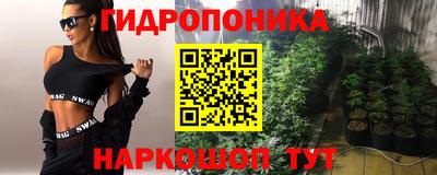 сатива Лесосибирск