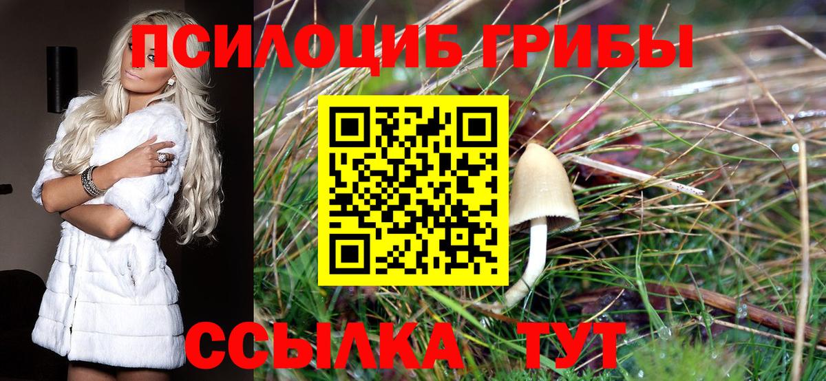 Галлюциногенные грибы Magic Shrooms Дмитров
